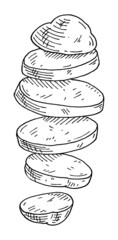 Flying pieces of fresh potato. Vintage engraving black monochrome illustration.