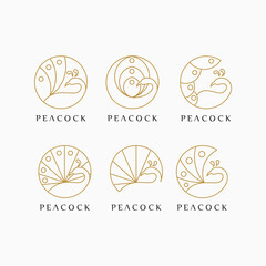 peacock logo idea with line art concept , luxury peacock logo