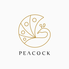 peacock logo idea line art concept
