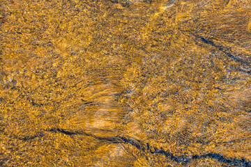 Bright orange thermophiles, microorganisms in found in hot springs thermal environments, Yellowstone National Park, USA
