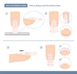 Nail extension guide. How to Shape and File Artificial Nails the Right Way. Step by Step Instruction. Professional Manicure Tutorial. Vector illustration