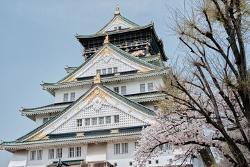 Naklejka premium Osaka Castle Park in Cherry Blossom Season