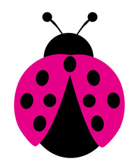 Vector Pink Ladybug