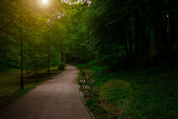 park morning sun rise time walking quiet natural environment with woods benches and pathway solitude atmosphere