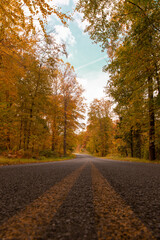 road in autumn