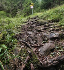 Uriger Wanderweg mit knorrigen Wurzeln mit Wanderschild im Hintergrund, Beginn des Aufstiegs einer alpinen Tour zum Roßkarsee