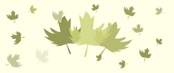 Set of abstract leaves in different color and opacity, seamless leaves abstract in abstract order on a white background.
