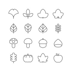 Autumn concept icon set. Maple leaves, ginkgo leaves, fallen leaves, mushrooms, pumpkins, apples, chestnuts.