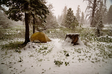 Fototapeta premium Small tent in a snowstorm in the Warner Wilderness