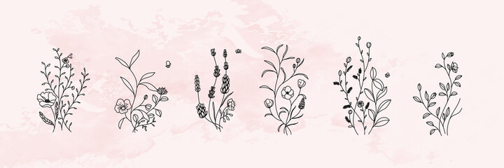 minimal botanical graphic sketch line art drawing, trendy tiny tattoo design, floral elements vector illustration