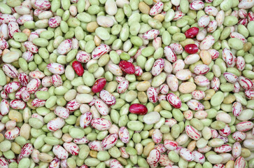 fresh colorful cranberry bean as food background