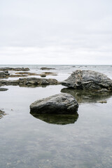 The rocky texture of an old sea stone.