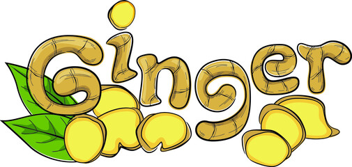 Ginger illustration design for packaging, brochure, leaflet, books, t-shirt and bag.