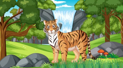 Foto op Canvas A tiger in forest or rainforest scene with many trees © blueringmedia