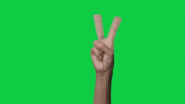 Woman hand raising two fingers up and showing peace or victory symbol or letter V isolated on chroma key green screen background.