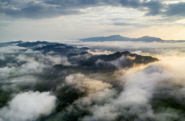 Fototapeta na wymiar Beautiful fog in the morning forest with green mountains. Pang Puay, Mae Moh, Lampang, Thailand.