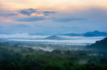 Aerial view. Beautiful fog in the forest with green mountains.