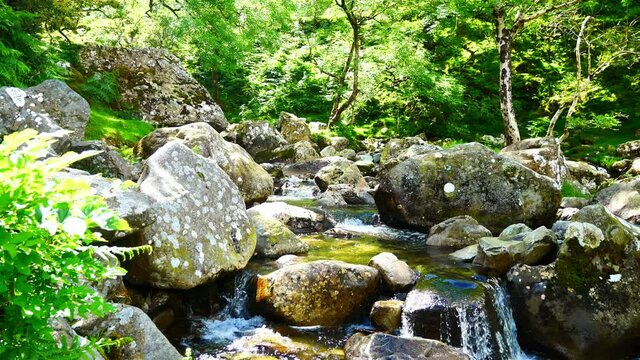 Clean fresh cascading mini waterfall rock pools from mountain woodland stream