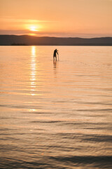 Fototapeta premium Man paddling on sup surf on sunset