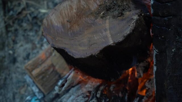 Massive logs burning in campsite bonfire, woodland area, close up view
