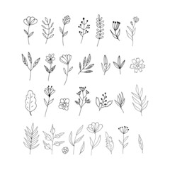 abstract flowers and leaves icon set. hand drawn doodle. vector, scandinavian, nordic, minimalism, monochrome. plant, herbarium.