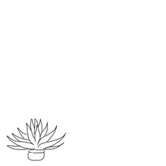 Obraz premium trendy home decor with plants. tropical leaves in stylish planters and pots. plant illustration. decorative plant background