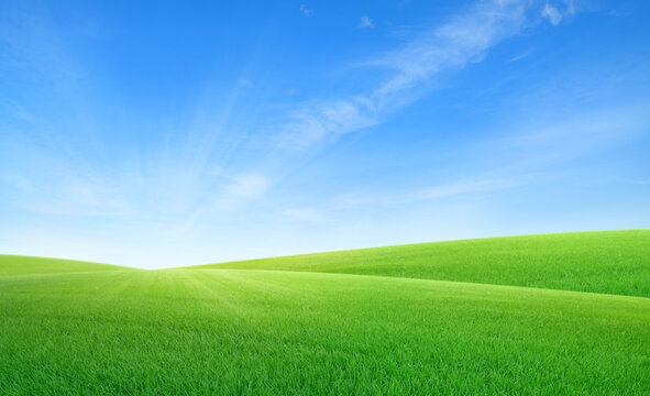 Landscape view of green grass on slope with blue sky background.