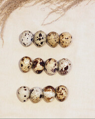Obraz premium Quail eggs or eggs from turtles. Special turtles that are deliberately kept for their eggs. Egg templates. Turtle egg concept. Healthy organic food and diet concept. Blurred focus.