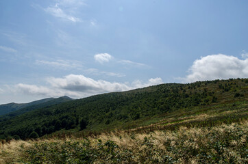 Bieszczady połonina Dźwiniacka 