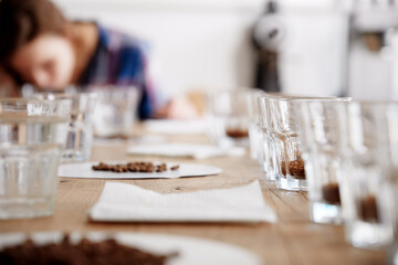 Coffee cupping process, rows of cups filled with beans for test