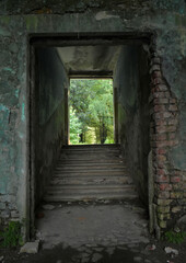 Fototapeta na wymiar antigua puerta de acceso a la naturaleza