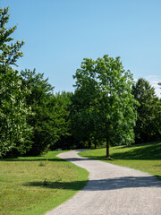 Path and trees in park