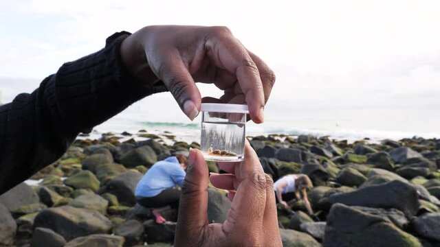 A citizen scientist holds up a specimen jar with a sea creature inside to observe and conduct research