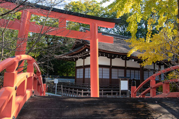 Fototapeta na wymiar 京都下鴨神社の朱色の鳥居　秋の黄葉と青空背景に