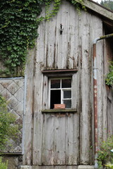 lei old house overgrown with ivy