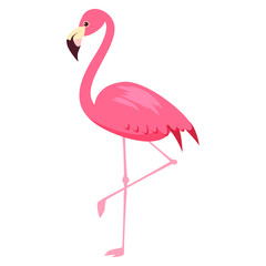 Pink Flamingo exotical bird. Vector illustration cartoon style