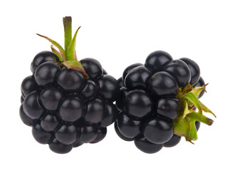 Juicy fresh blackberries isolated on white background.