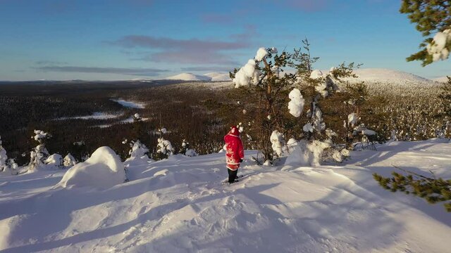 Aerial drone view of Santa Claus and snowy trees, top of a sunny, arctic mountain