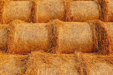 The texture of dry hay in the rays. Dry straw is stacked in large flocks. Stock of animal feed for the winter. Harvesting in agriculture. A warm, cozy autumn in the village. 