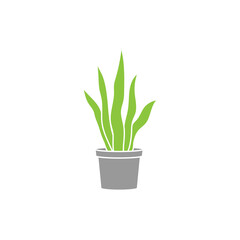Snake plant icon design template illustration