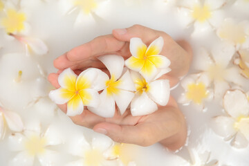 Fototapeta na wymiar Beauty spa and wellness treathment with white flower petals in bath with milk