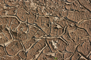 Soil background texture pattern cracks.
Drought, cracked earth, mud crack. lack of moisture.