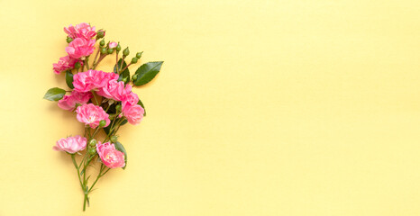 pink roses on a yellow background, banner