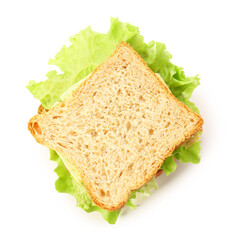 Tasty sandwich on white background