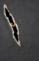 Vertical Halloween background. A look from darkness