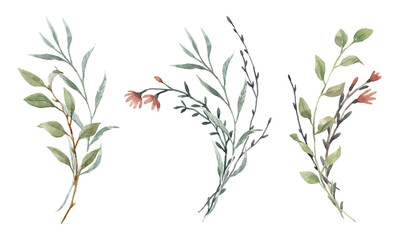 Beautiful floral set with watercolor hand drawn gentle flowers. Stock clip art illustration.