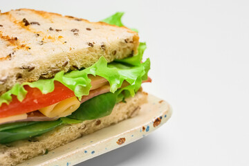 Plate with tasty sandwich on white background, closeup