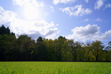 青空と木々と芝生の広大な景色