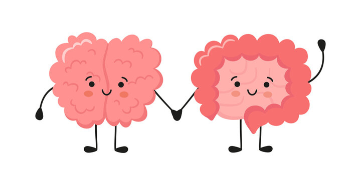 Kawaii Happy Human Brain And Funny Intestine Characters. Hand Drawn Symbol Of The Communication Between The Intestines And The Brain. Vector Cartoon Illustration Isolated On White Background.