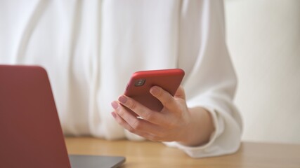 スマートフォン・パソコン・若い女性